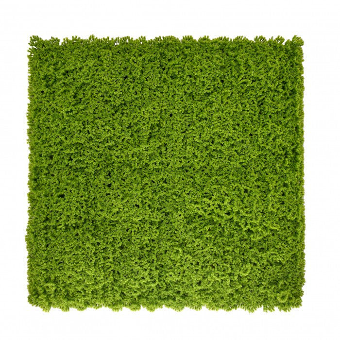 Műnövény falpanel, 50 × 50 cm-es moha zöldfal - Homelux, 5905610253776 Imagine principală a produsului