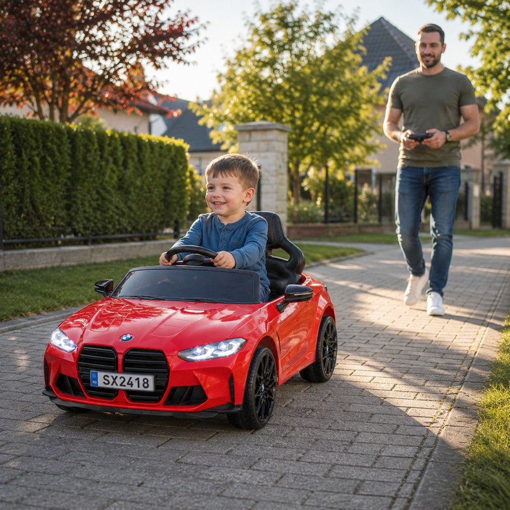 LEA-BMW-M4-PIR - LEA-BMW-M4-PIR_altpic_1.jpg Imagine secundară a produsului