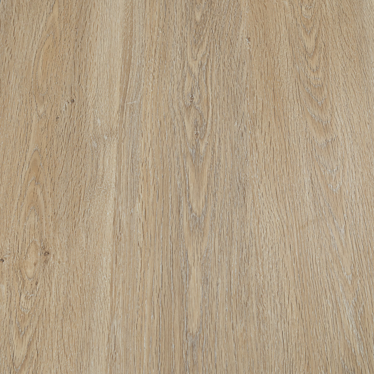 LPSPC-4-5-KEN_altpic_8.jpg