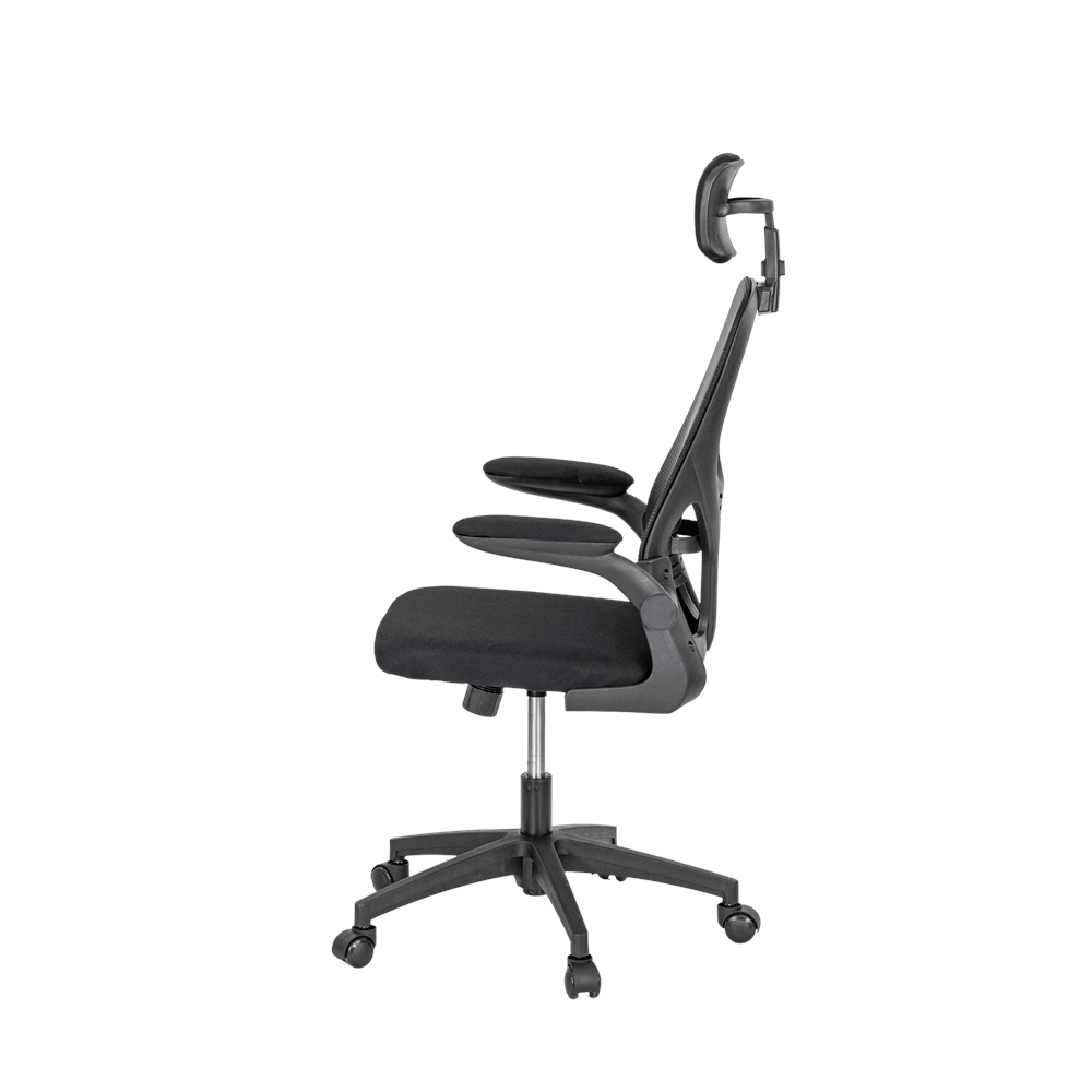 Scaun de birou ergonomic Flexo cu suport lombar