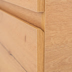 Vario009 - Vario009_altpic_5.jpg