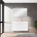 Vario100 - Vario100_altpic_1.jpg